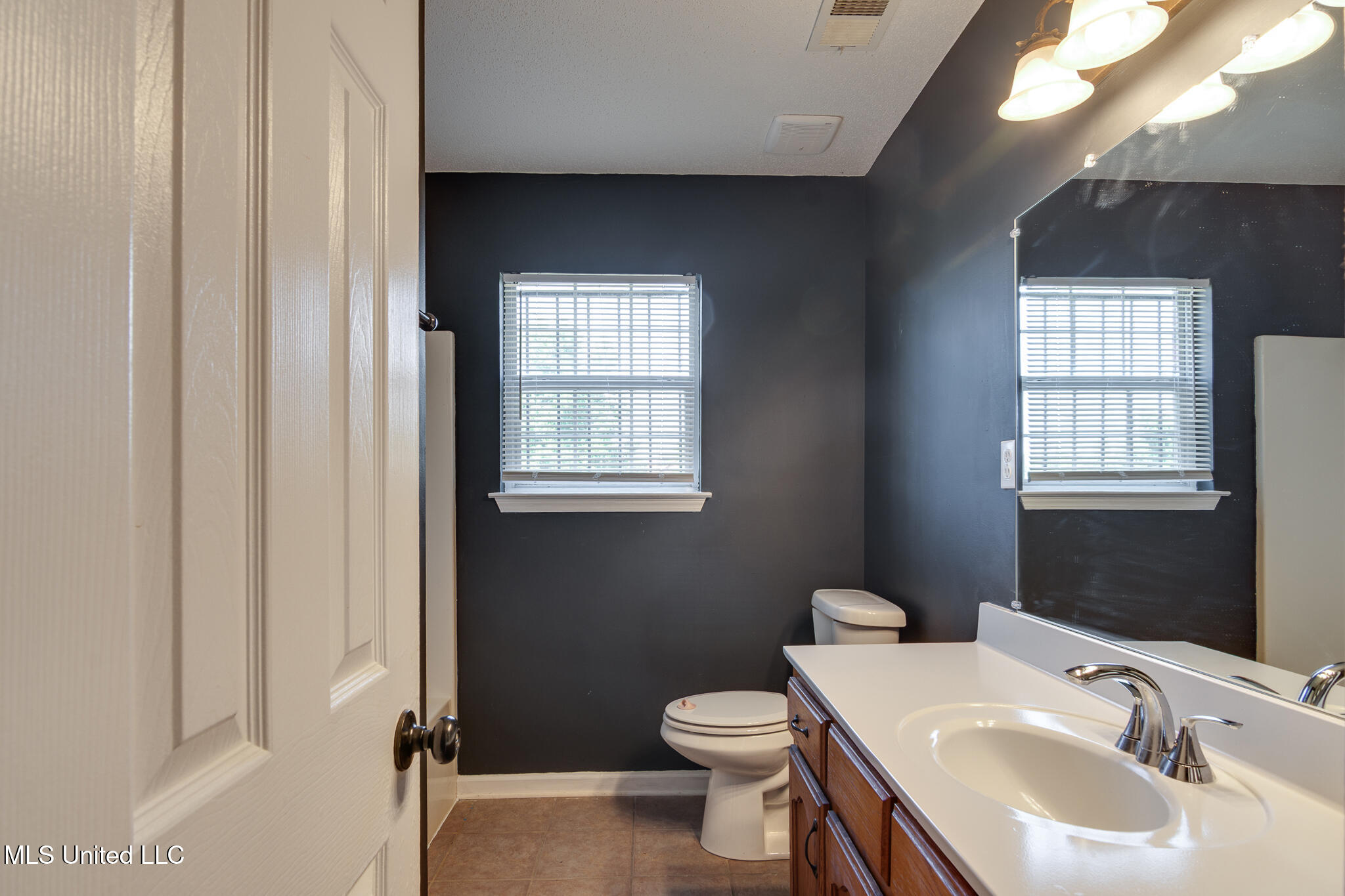 10495 Spring River Cove Lake Cormorant, MS 38641 - Photo 32 of 50 10495 Spring River Cove-34