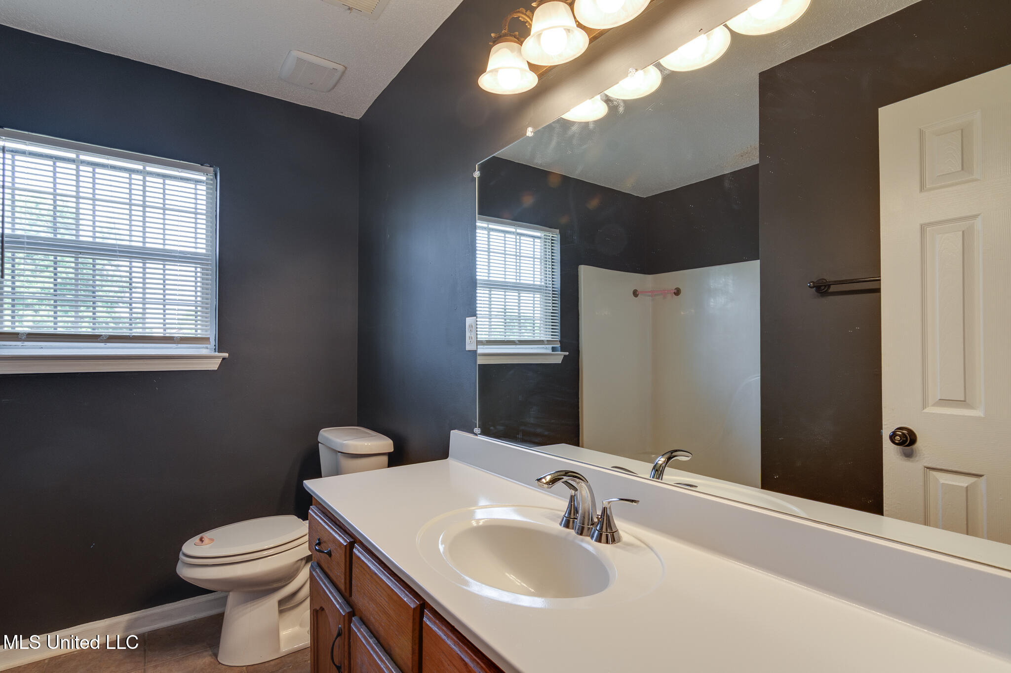 10495 Spring River Cove Lake Cormorant, MS 38641 - Photo 33 of 50 10495 Spring River Cove-35