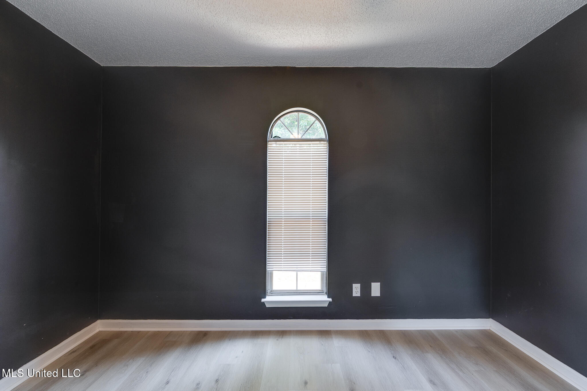 10495 Spring River Cove Lake Cormorant, MS 38641 - Photo 35 of 50 10495 Spring River Cove-37