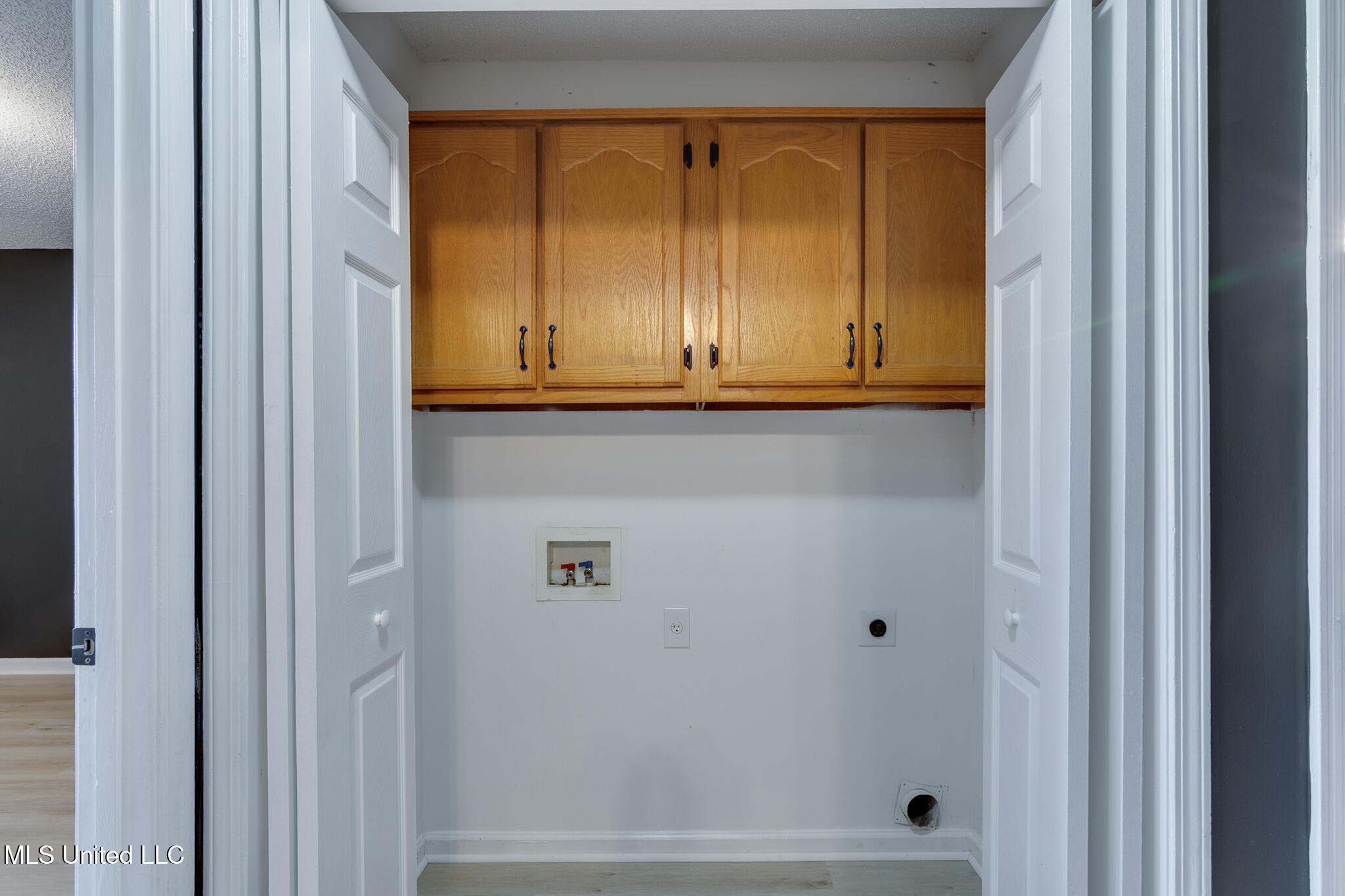 10495 Spring River Cove Lake Cormorant, MS 38641 - Photo 37 of 50 10495 Spring River Cove-30