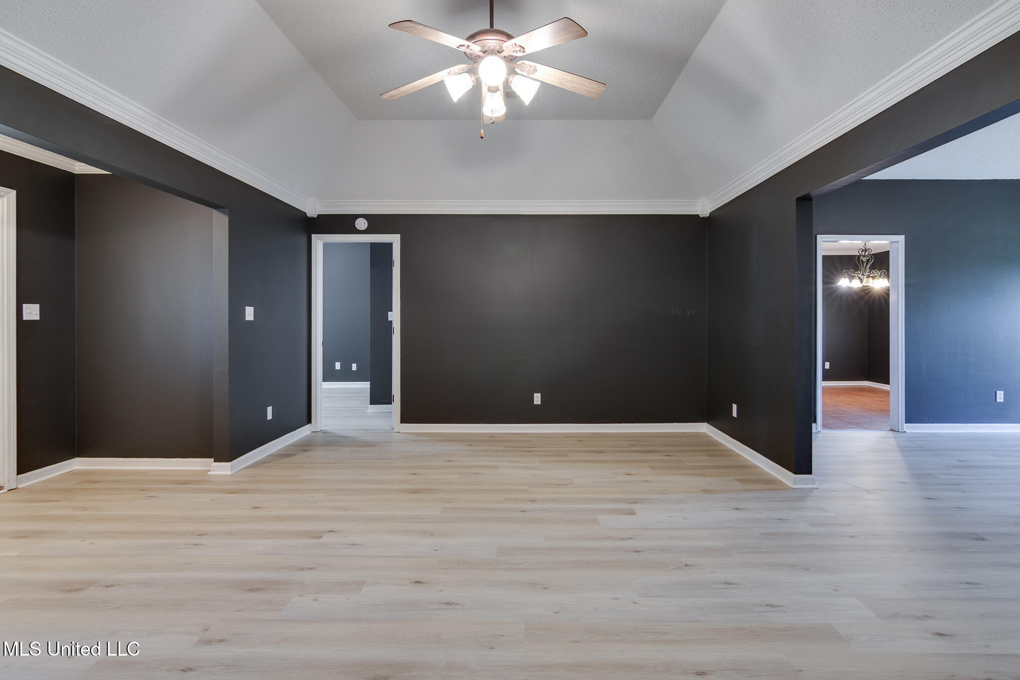 10495 Spring River Cove Lake Cormorant, MS 38641 - Photo 5 of 50 10495 Spring River Cove-6