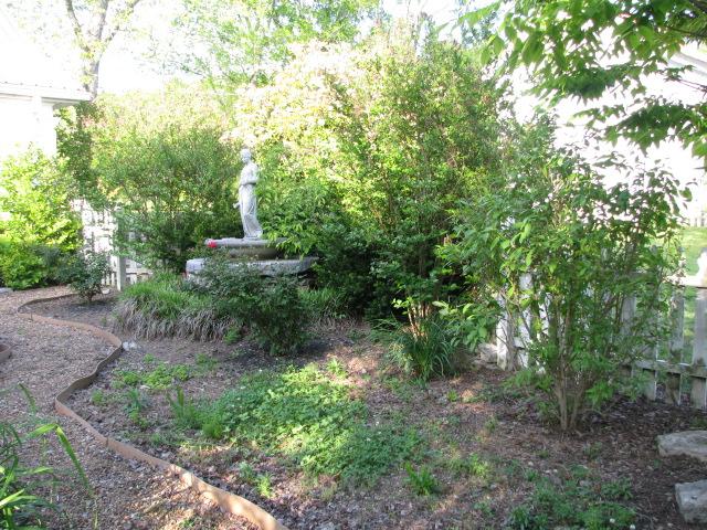 38 Crystal Ridge Road Mulberry, TN 37359 - Photo 10 of 20 a big yard with lots of green space and trampoline