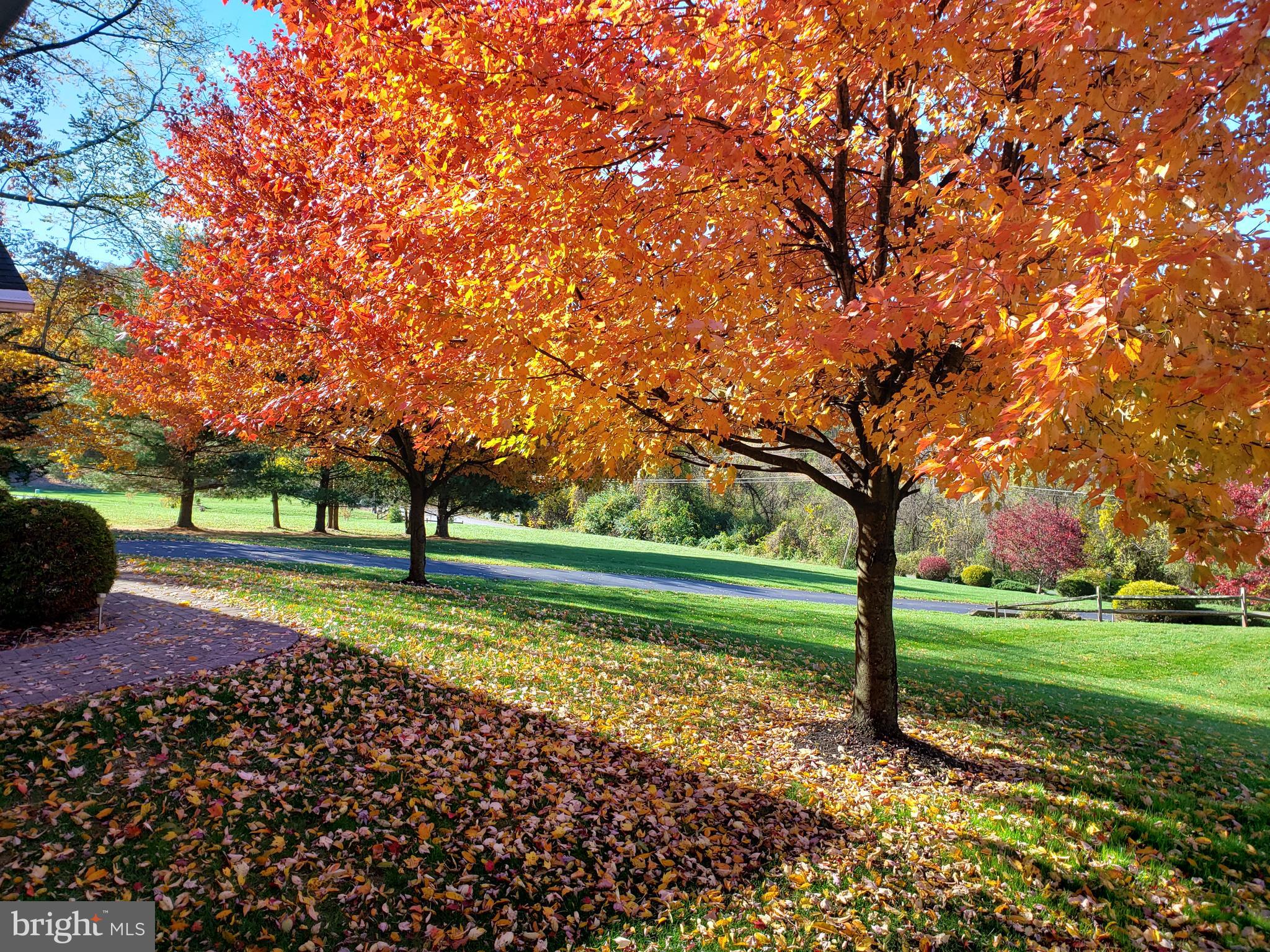 99 Gunhart Road Mohnton, PA 19540 - Photo 46 of 46