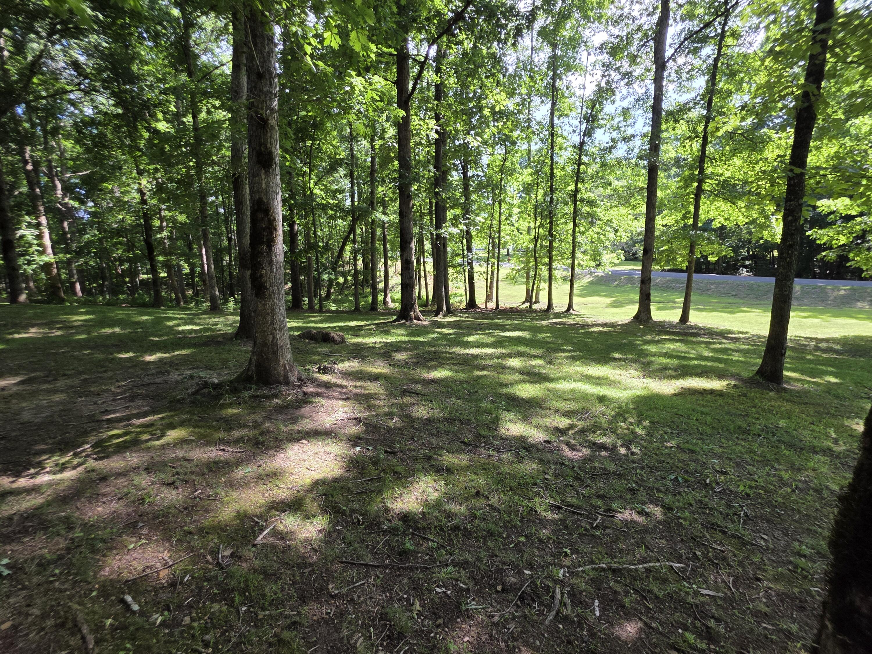 398 Armory Road Tracy City, TN 37387 - Photo 5 of 27 Land