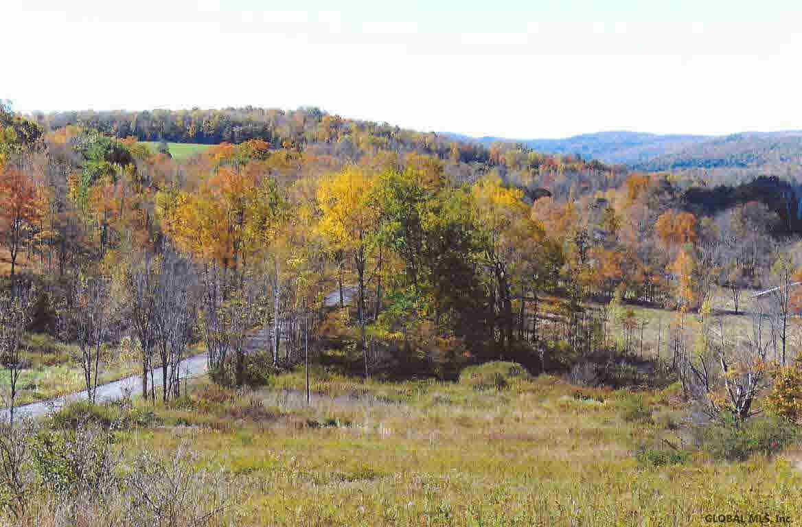 0 Lot 5f Sheldon Road Granville, NY 12832 - Photo 9 of 12 Photo 9