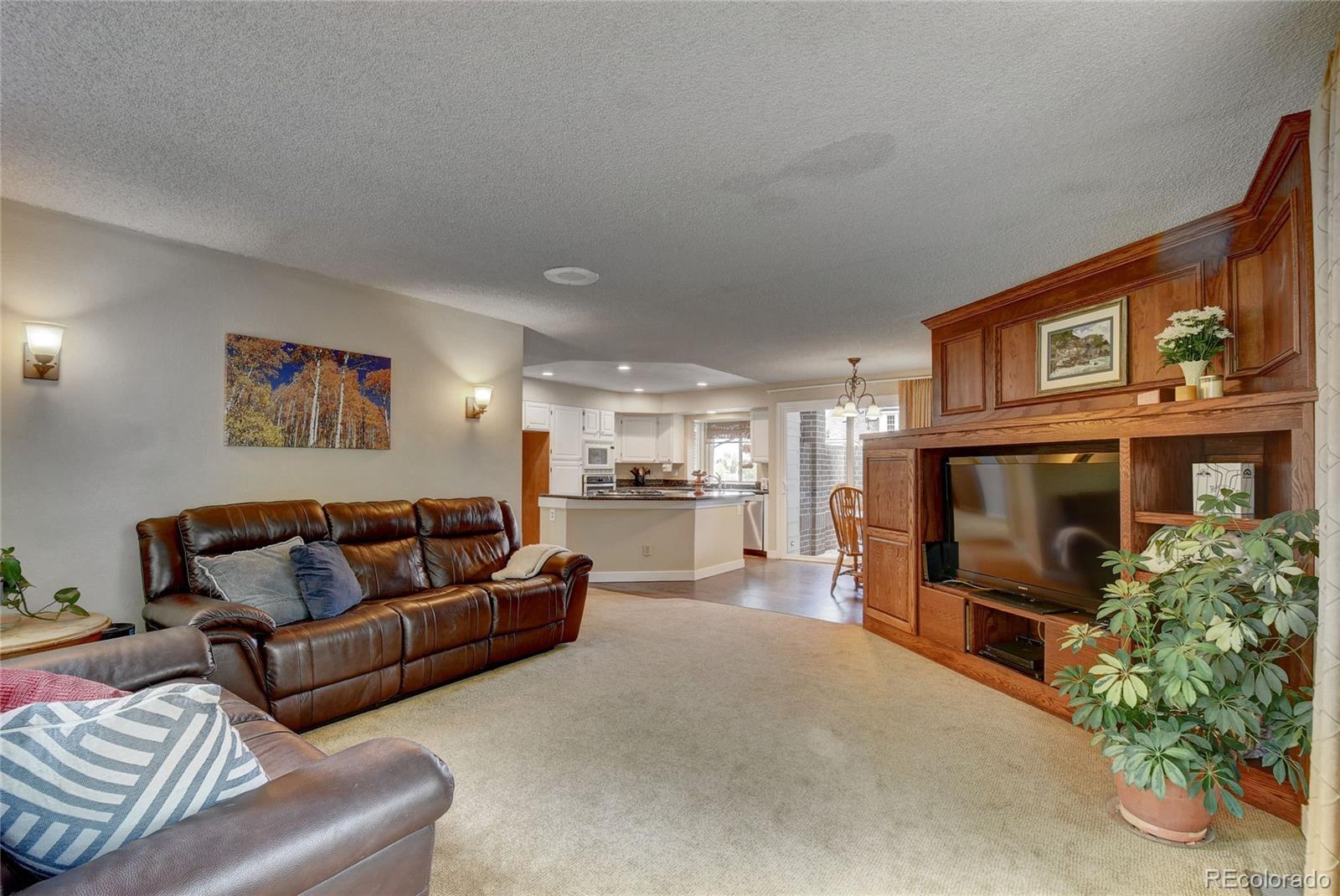8386 Sweet Water Road Lone Tree, CO 80124 - Photo 13 of 40 Gallery Image 13