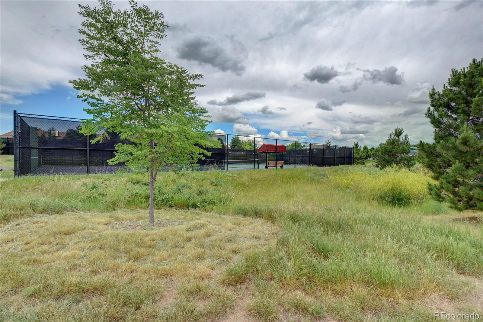 8386 Sweet Water Road Lone Tree, CO 80124 - Photo 37 of 40 Gallery Image 37