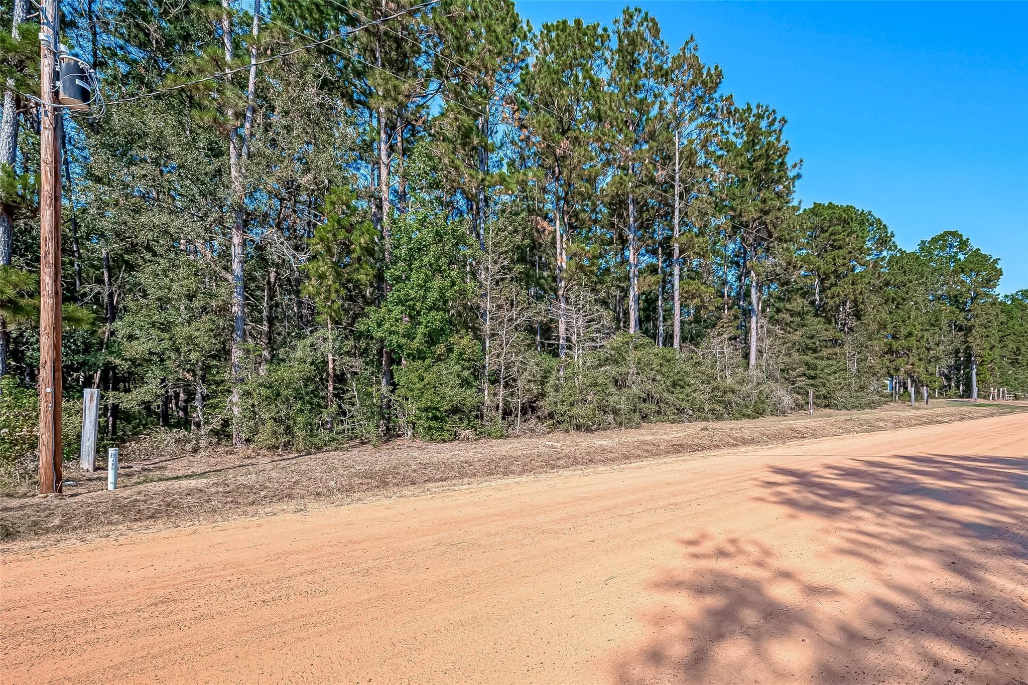 a view of a backyard of a house