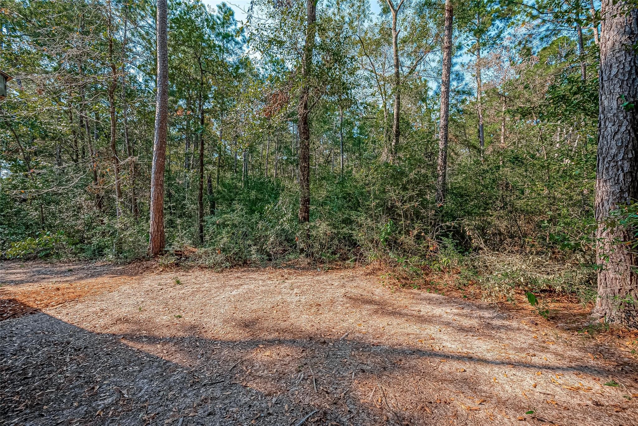 0 Oak Rdg Street Cleveland, TX 77328 - Photo 4 of 11 a view of a forest with trees