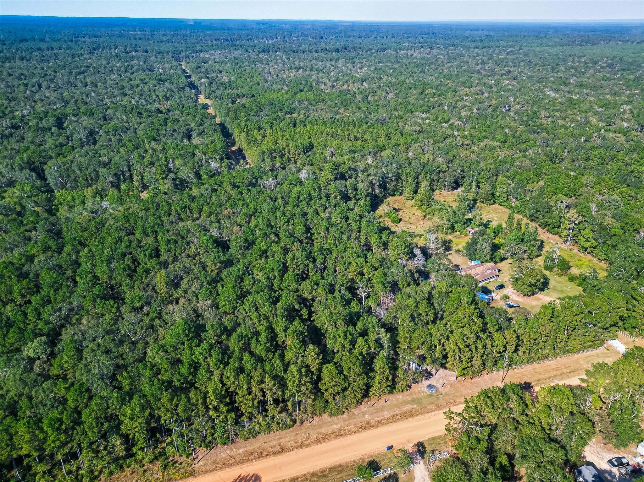 0 Oak Rdg Street Cleveland, TX 77328 - Photo 6 of 11 a view of a green field with lots of bushes