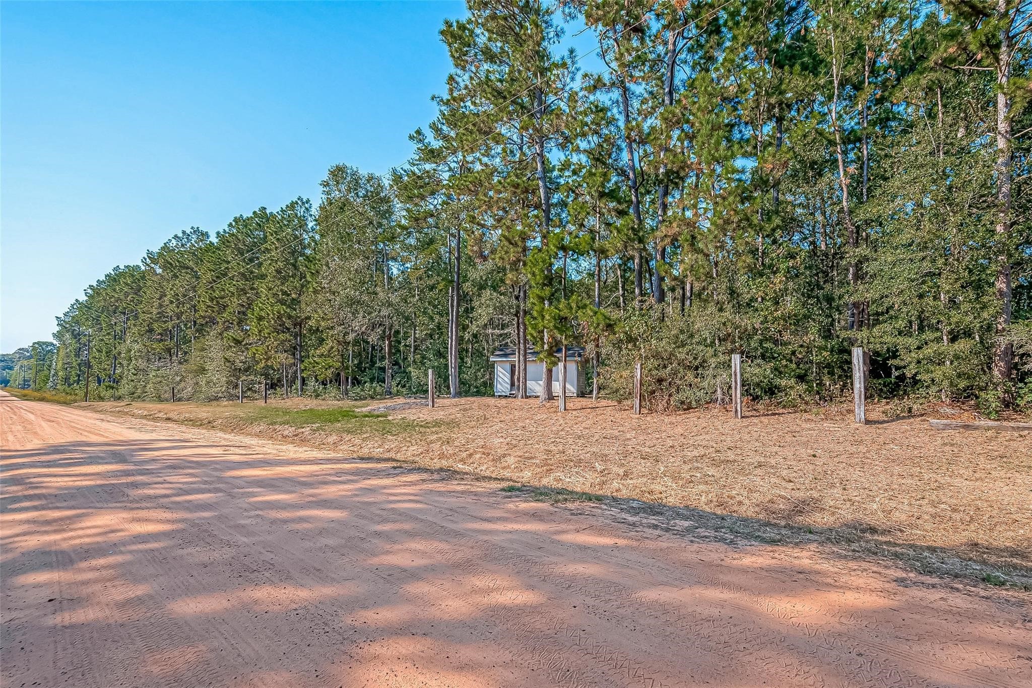 0 Oak Rdg Street Cleveland, TX 77328 - Photo 9 of 11 a view of empty room with trees