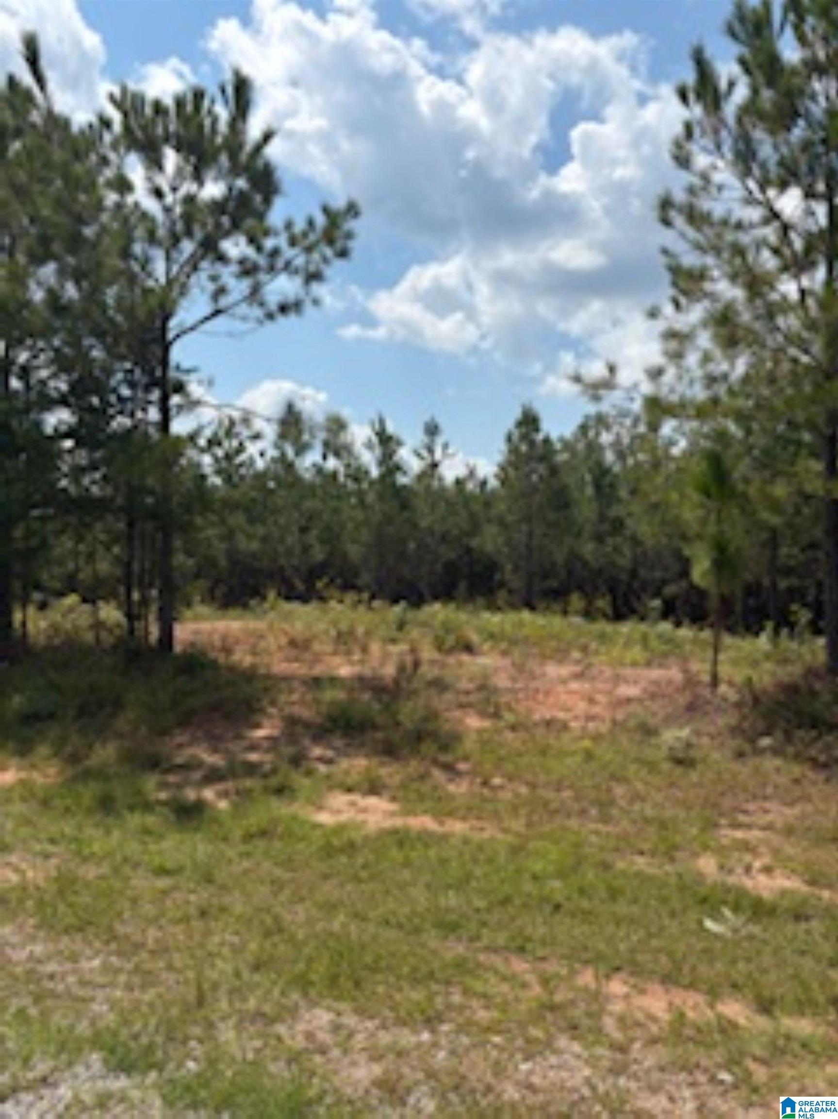 472 County Road, Unit 1 Clanton, AL 35045 - Photo 2 of 6