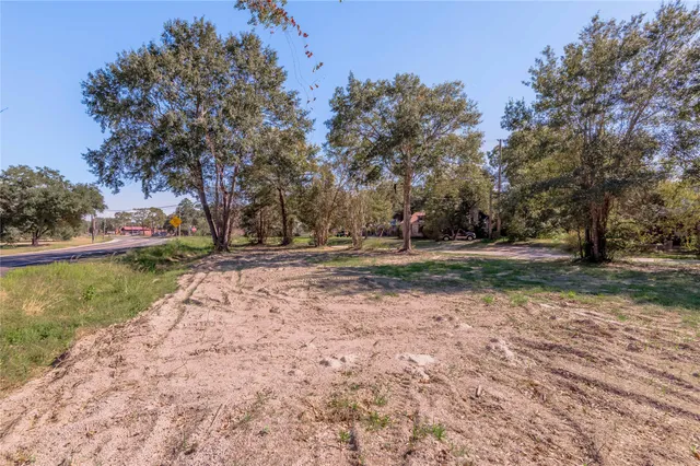 a view of dirt field with trees