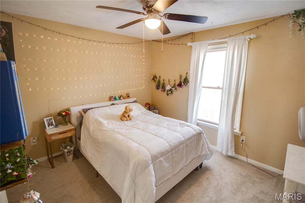 2019 Raintree Trail Collinsville, IL 62234 - Photo 43 of 68