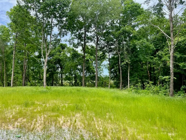 a view of a grassy field with trees in the background