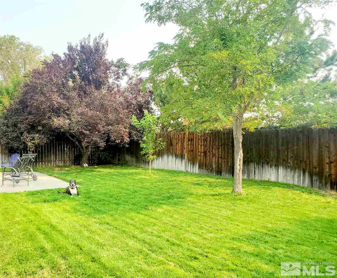 8674 Strutter Way Reno, NV 89506 - Photo 15 of 19 Photo 15