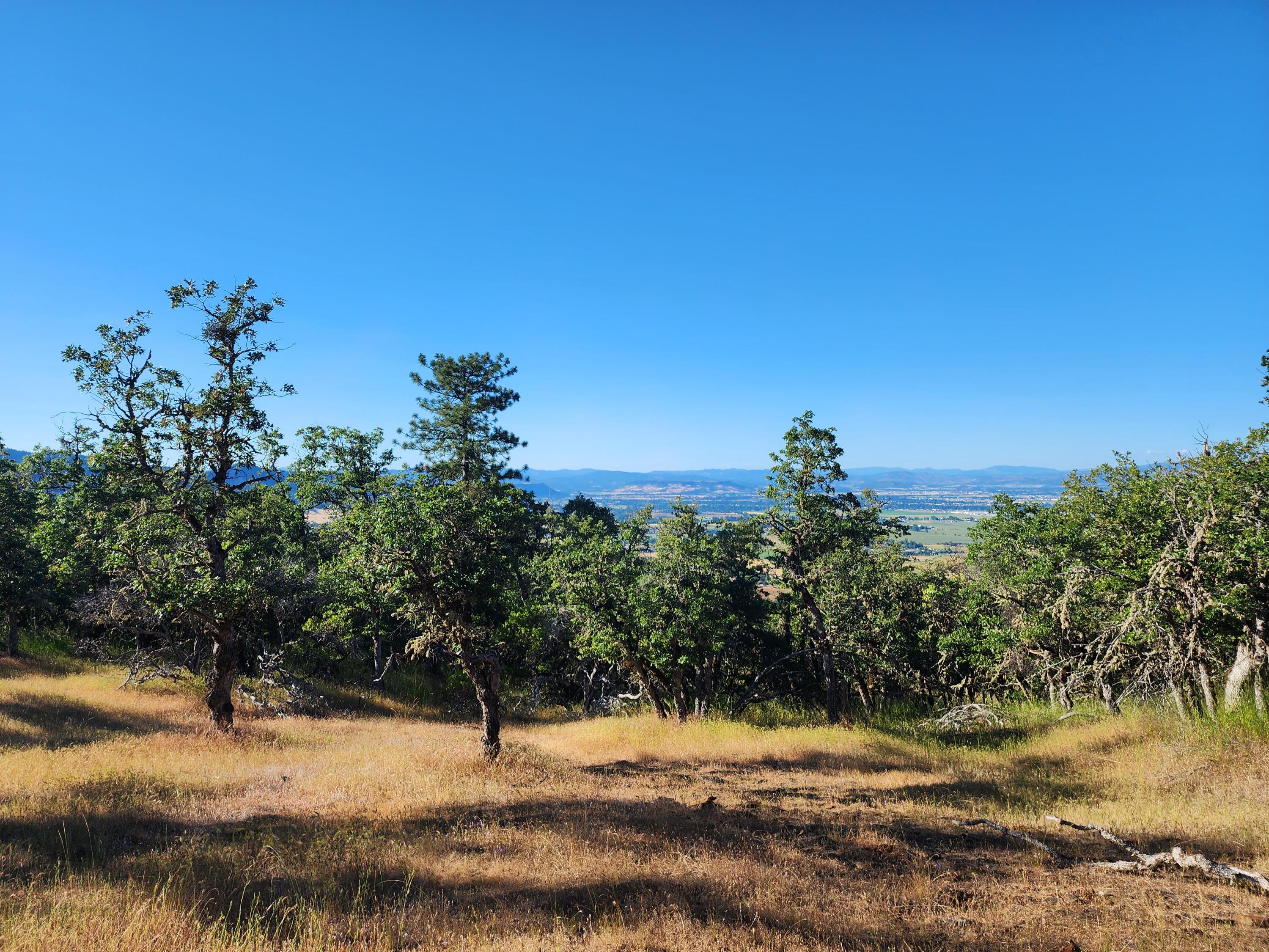 0 West Knowles Road, Unit 3100 Medford, OR 97501 - Photo 10 of 27 Picture 10