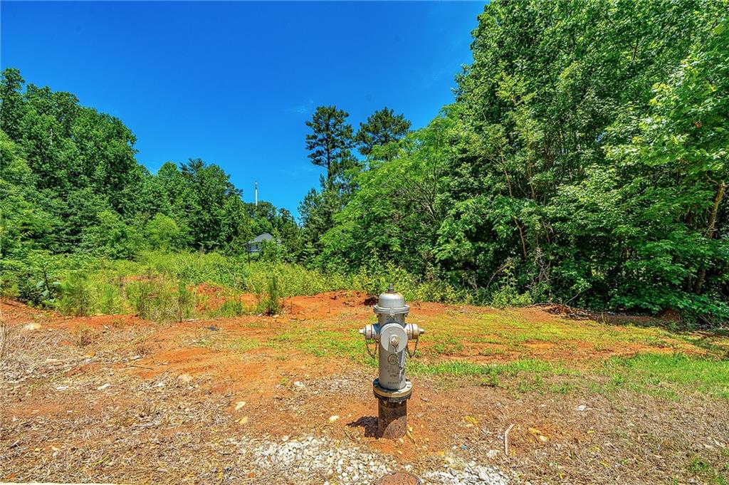 2061 Young Road Stone Mountain, GA 30088 - Photo 5 of 10