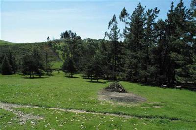 6750 Burnside Road Sebastopol, CA 95472 - Photo 7 of 11 a view of a park with large trees