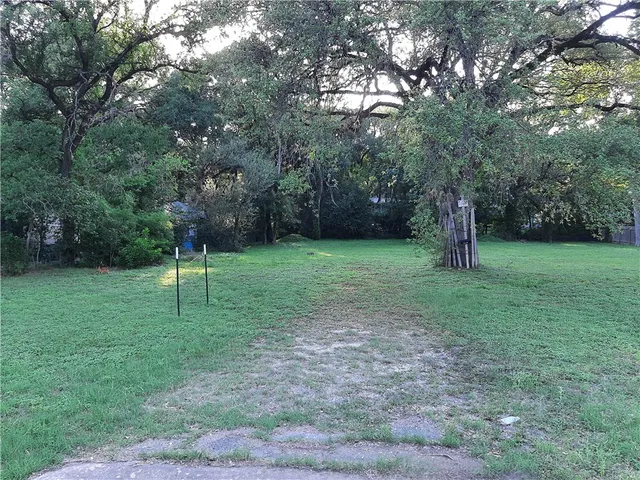 a view of a tree in a park