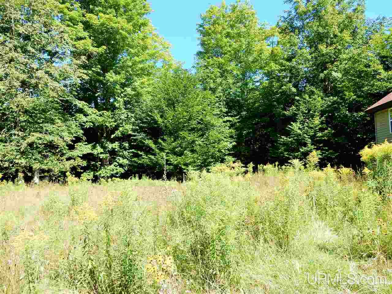 2528 River Road Gulliver, MI 49840 - Photo 6 of 19 Gallery Image 6