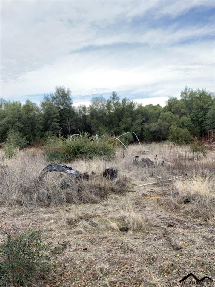Lanes Valley Road Paynes Creek, CA 96075 - Photo 1 of 2 Gallery Image 1