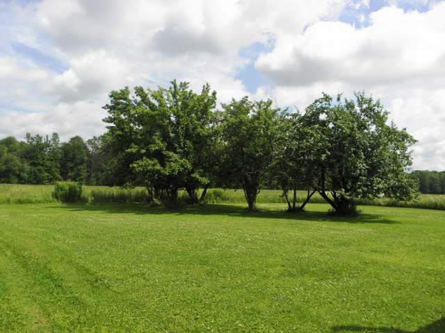 W11039 Midway Road Hawkins, WI 54530 - Photo 19 of 20 Gallery Image 19