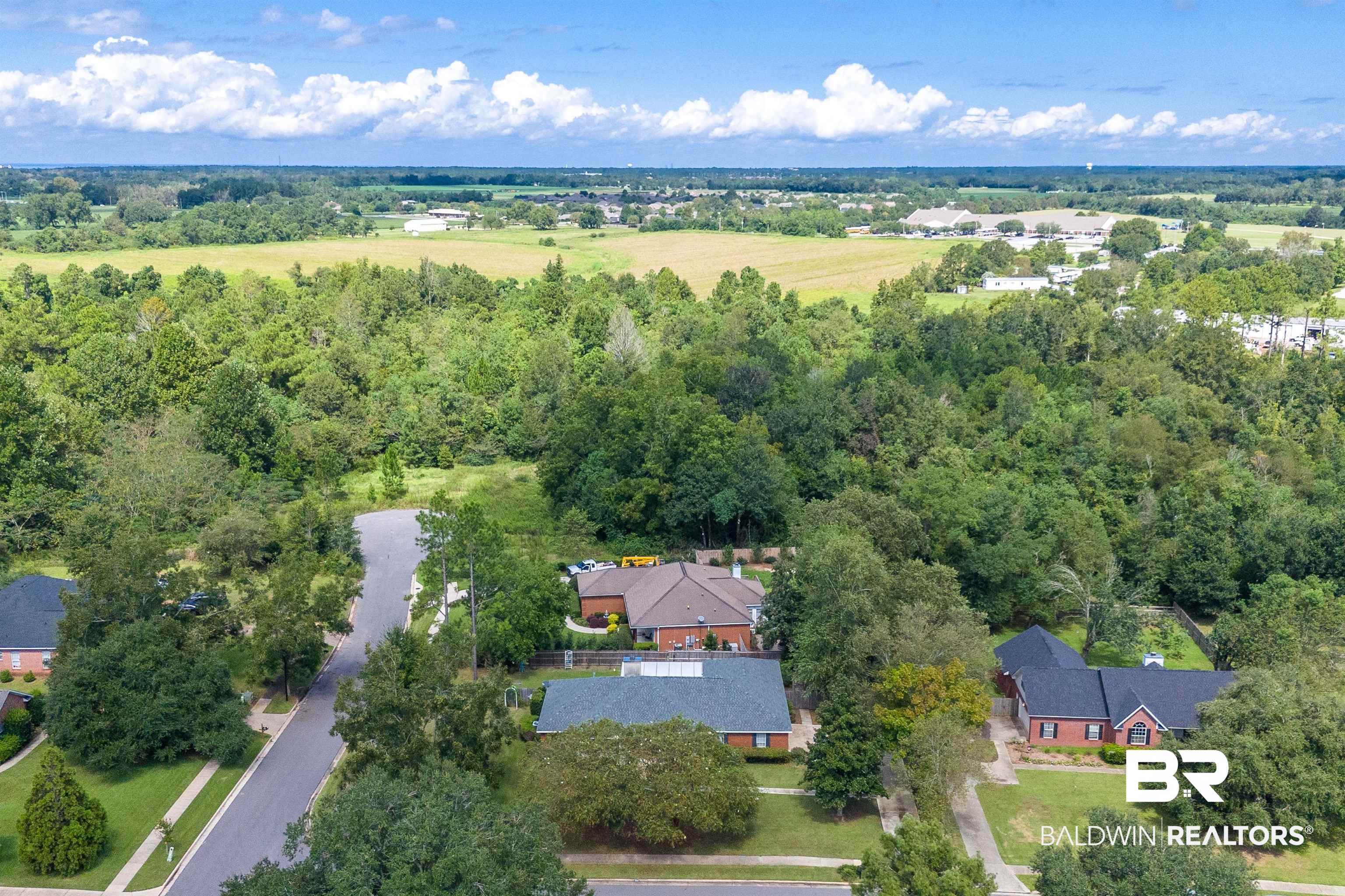 9901 Glover Court Fairhope, AL 36532 - Photo 40 of 52 Aerial view