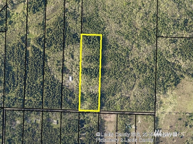 205 Gray Road Toledo, WA 98591 - Photo 1 of 1 Gallery Image 1