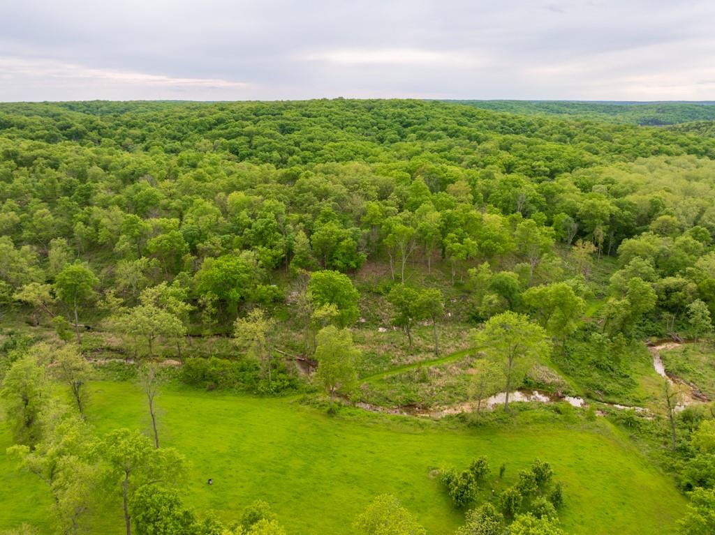 3270 Northeast 1205th Road Osceola, MO 64776 - Photo 11 of 89