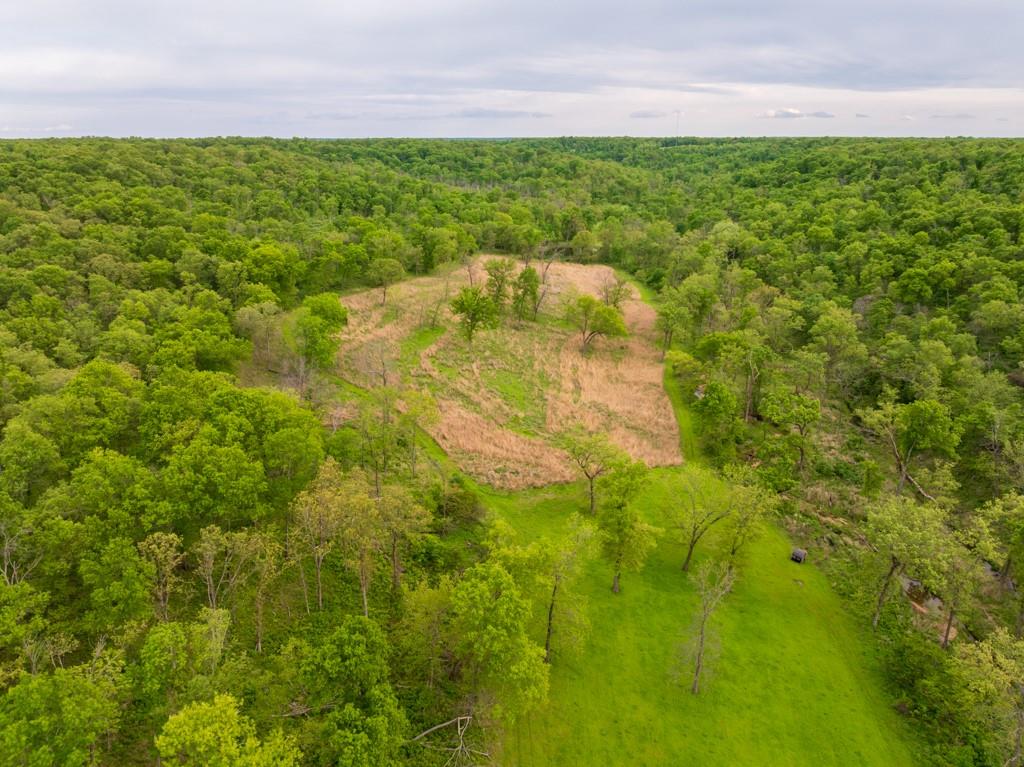3270 Northeast 1205th Road Osceola, MO 64776 - Photo 12 of 89