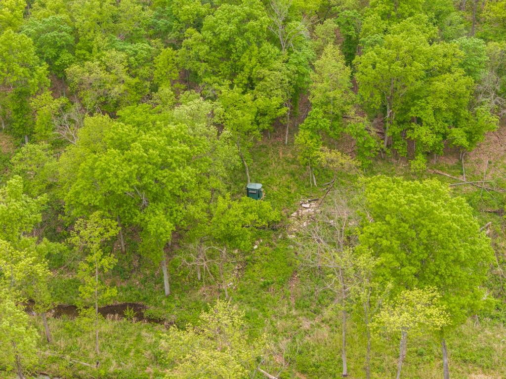 3270 Northeast 1205th Road Osceola, MO 64776 - Photo 13 of 89