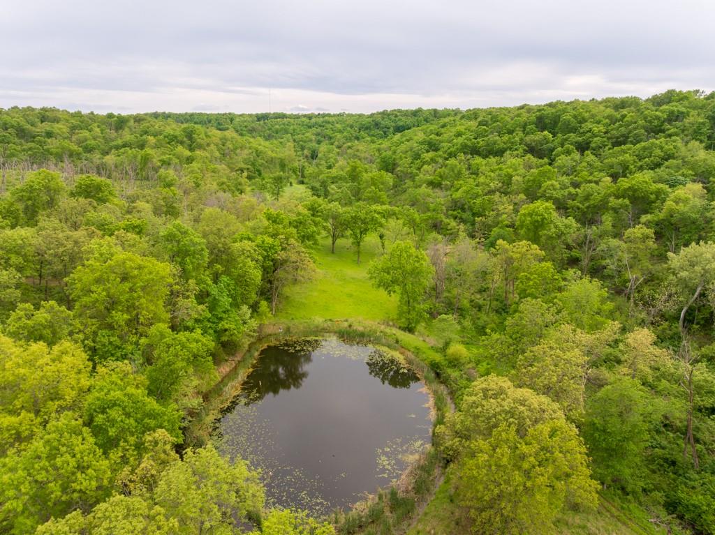 3270 Northeast 1205th Road Osceola, MO 64776 - Photo 14 of 89