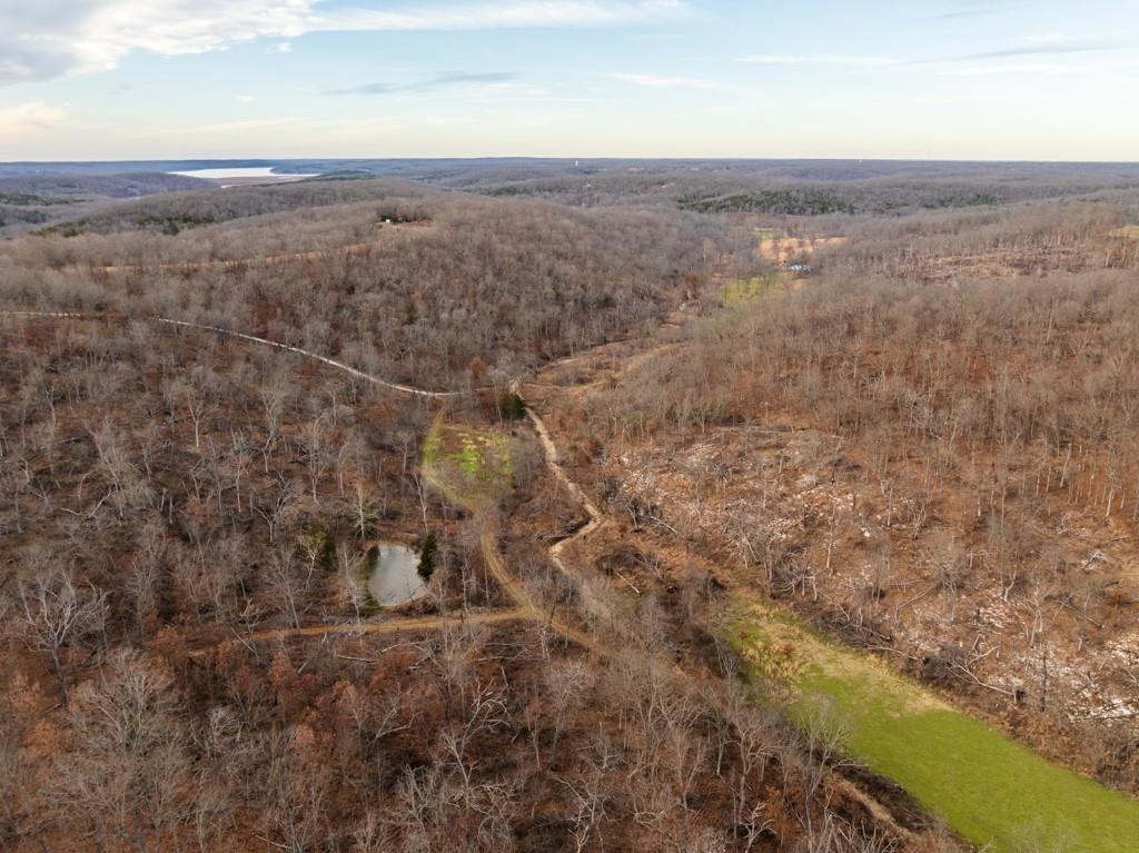 3270 Northeast 1205th Road Osceola, MO 64776 - Photo 15 of 99