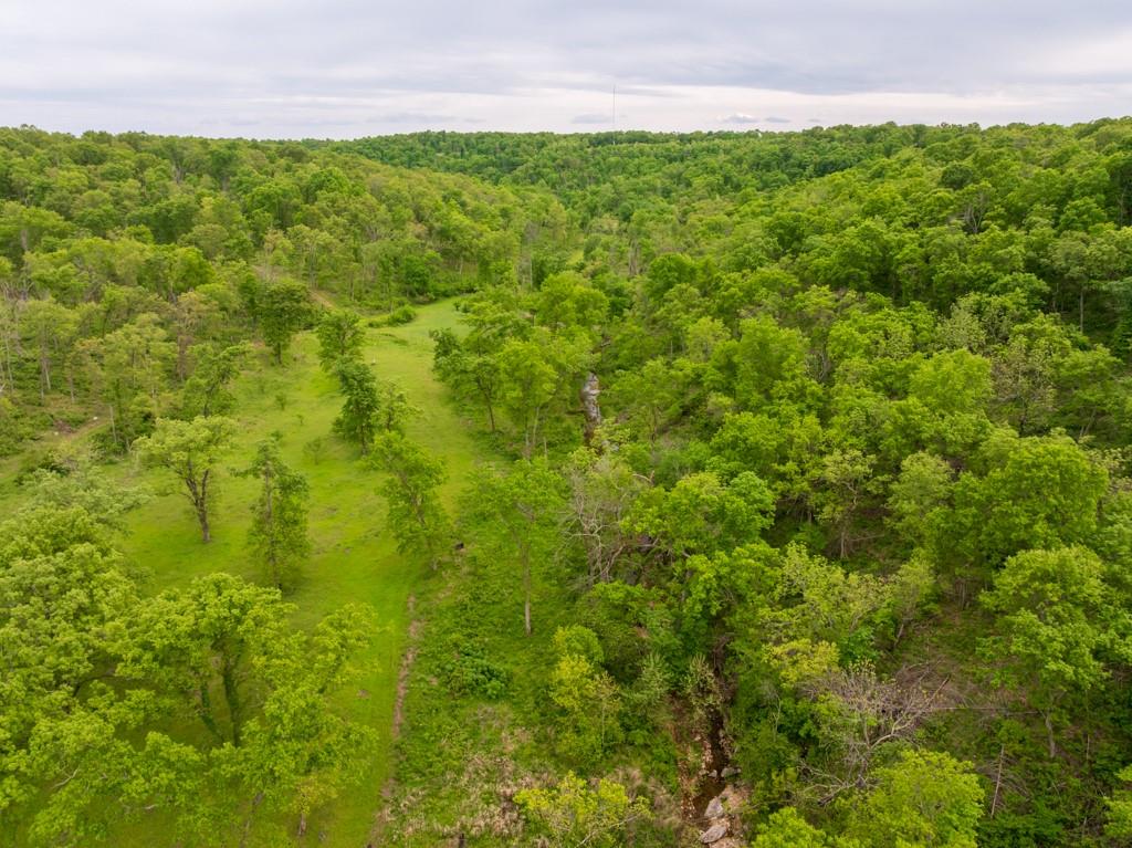 3270 Northeast 1205th Road Osceola, MO 64776 - Photo 16 of 89