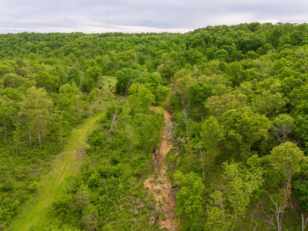 3270 Northeast 1205th Road Osceola, MO 64776 - Photo 17 of 89