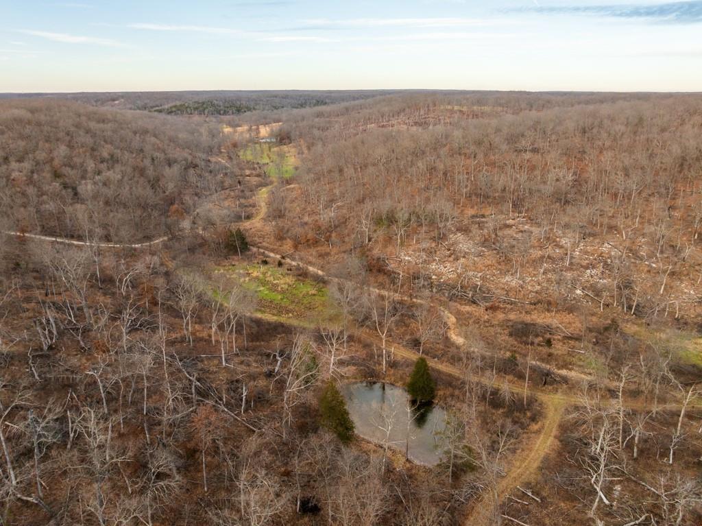 3270 Northeast 1205th Road Osceola, MO 64776 - Photo 18 of 99