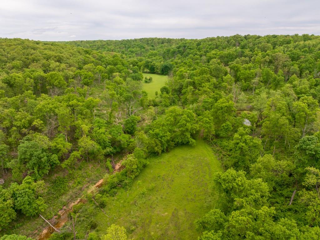 3270 Northeast 1205th Road Osceola, MO 64776 - Photo 18 of 89