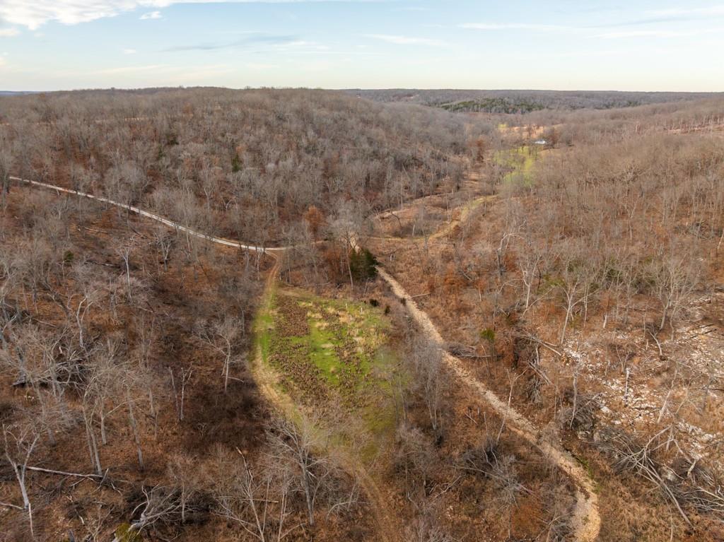 3270 Northeast 1205th Road Osceola, MO 64776 - Photo 19 of 99