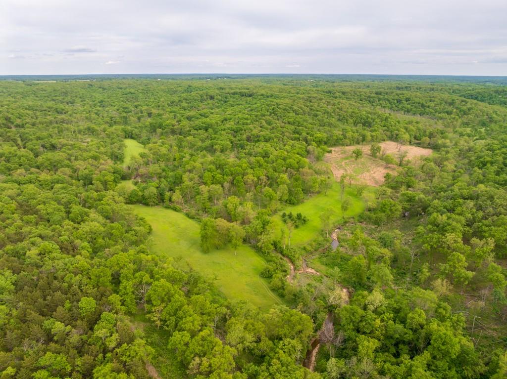 3270 Northeast 1205th Road Osceola, MO 64776 - Photo 2 of 89
