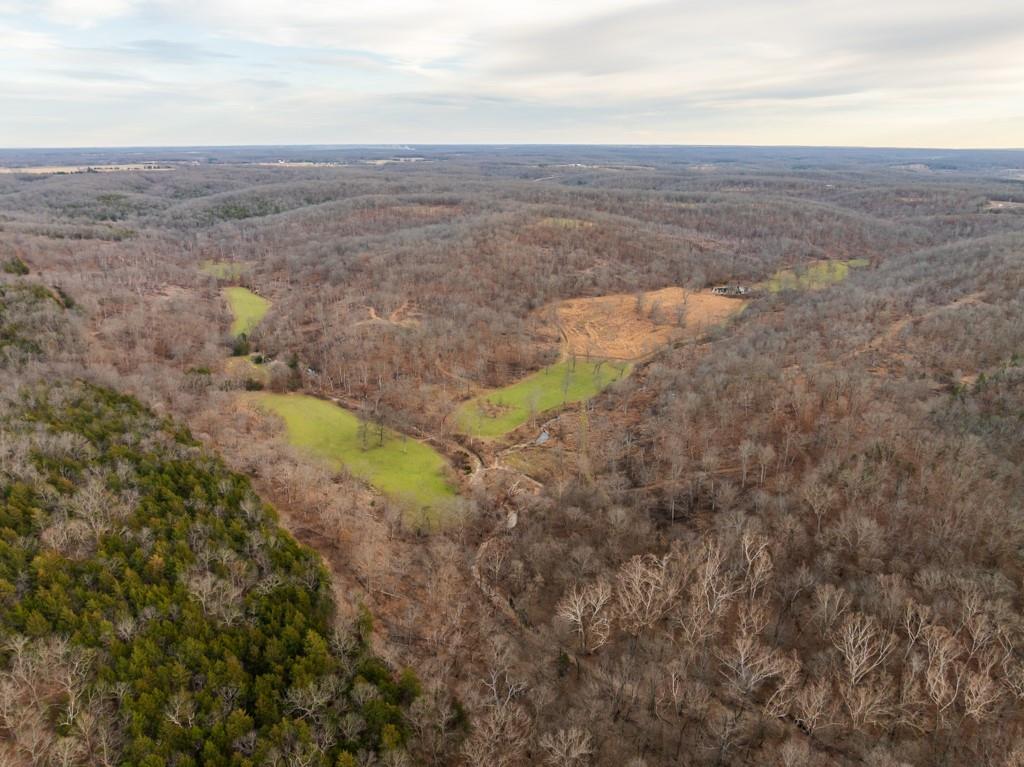 3270 Northeast 1205th Road Osceola, MO 64776 - Photo 2 of 99