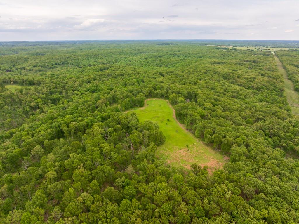 3270 Northeast 1205th Road Osceola, MO 64776 - Photo 21 of 89