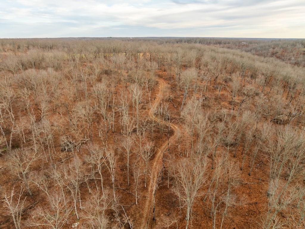 3270 Northeast 1205th Road Osceola, MO 64776 - Photo 22 of 99