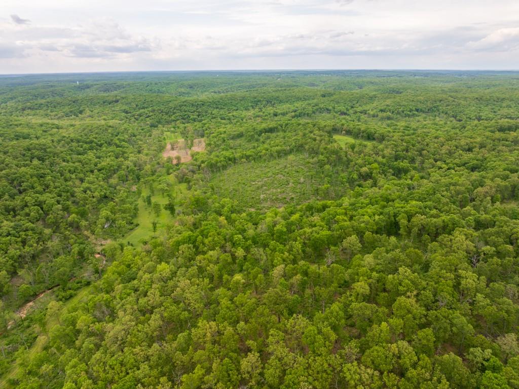 3270 Northeast 1205th Road Osceola, MO 64776 - Photo 22 of 89