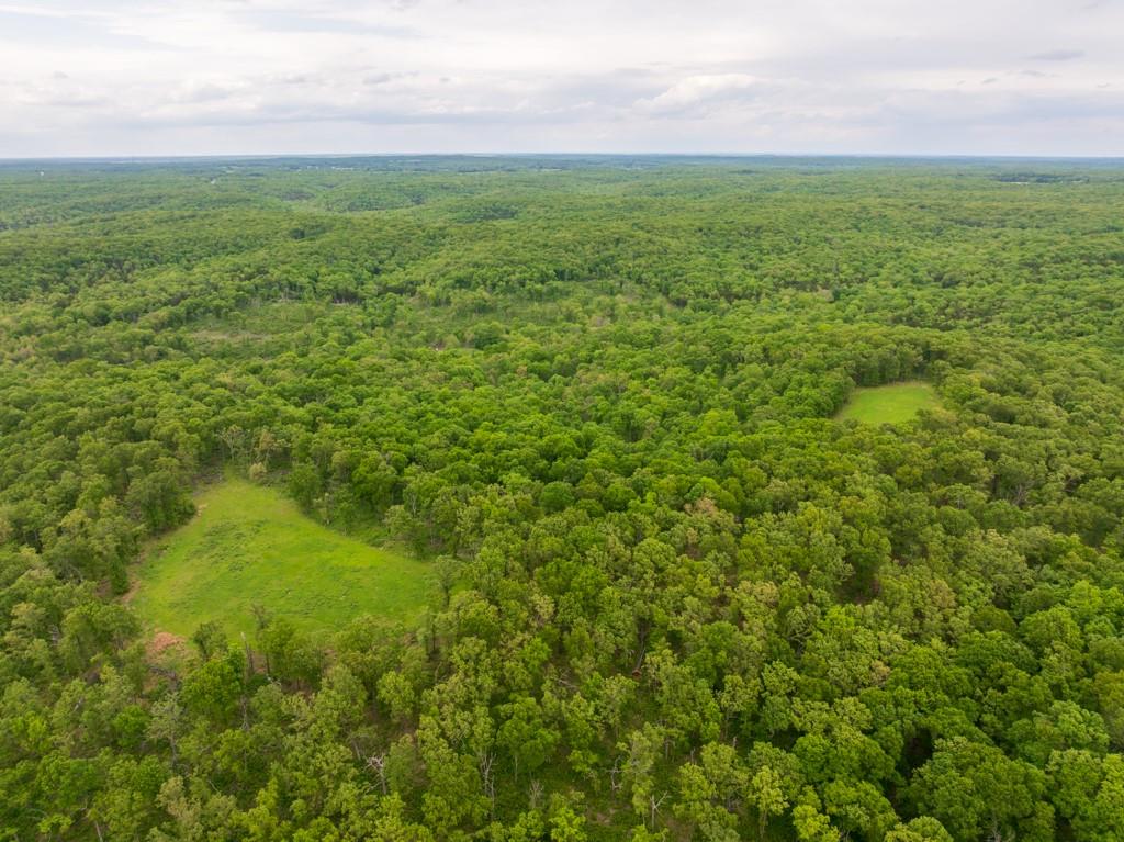 3270 Northeast 1205th Road Osceola, MO 64776 - Photo 23 of 89