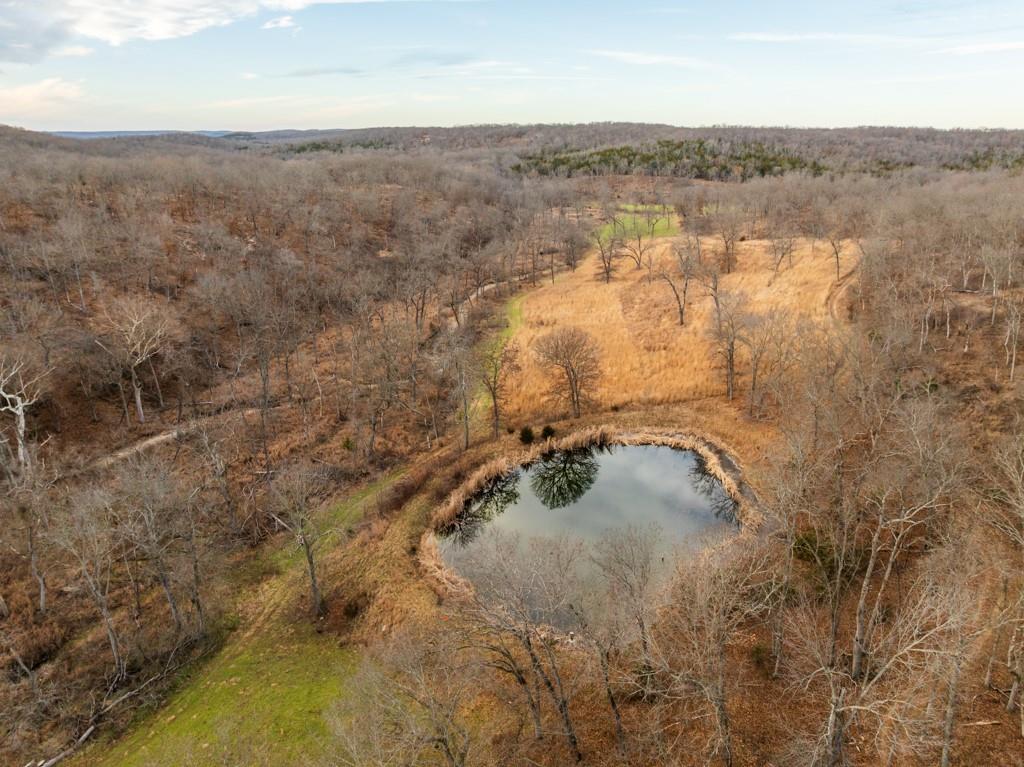 3270 Northeast 1205th Road Osceola, MO 64776 - Photo 23 of 99