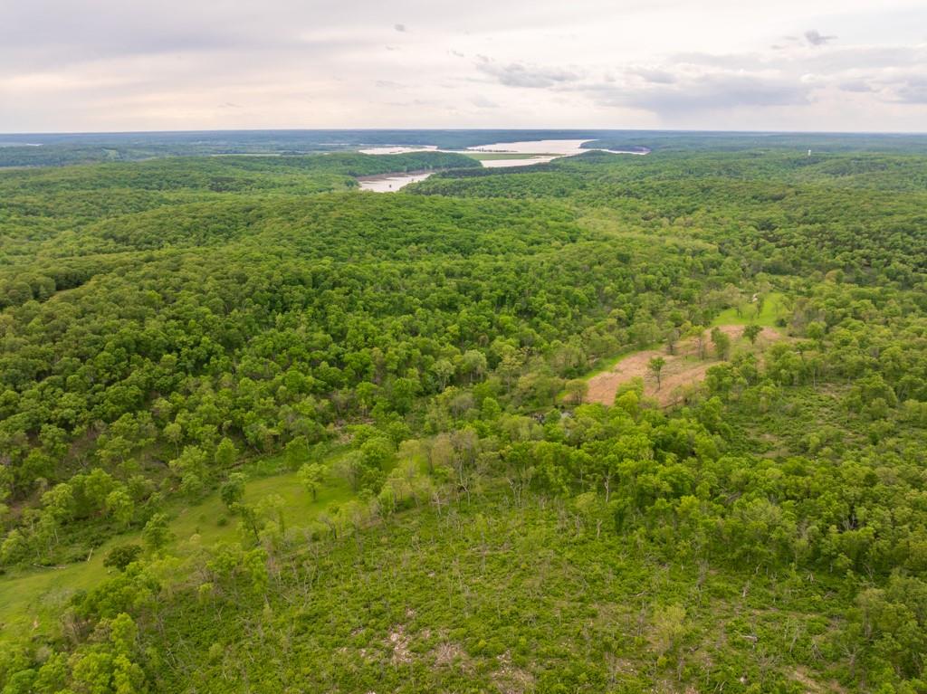 3270 Northeast 1205th Road Osceola, MO 64776 - Photo 24 of 89
