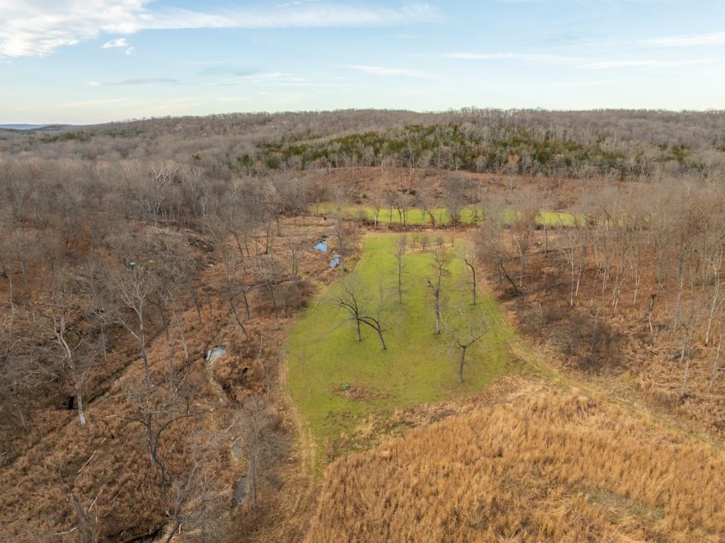 3270 Northeast 1205th Road Osceola, MO 64776 - Photo 25 of 99