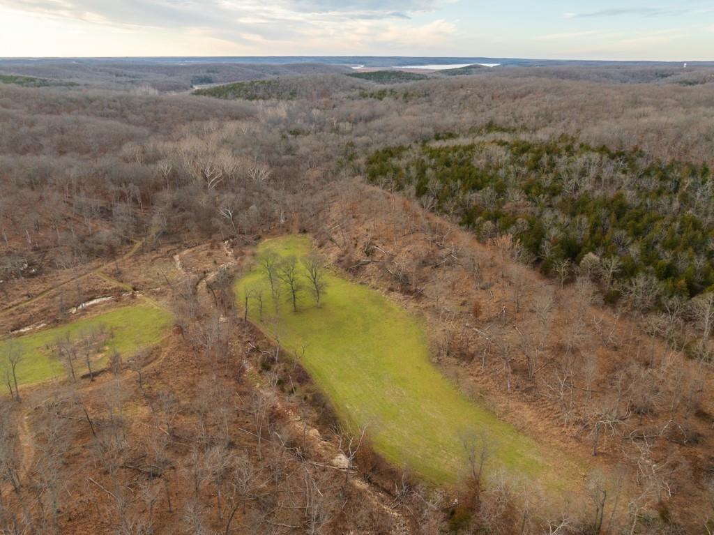 3270 Northeast 1205th Road Osceola, MO 64776 - Photo 26 of 99