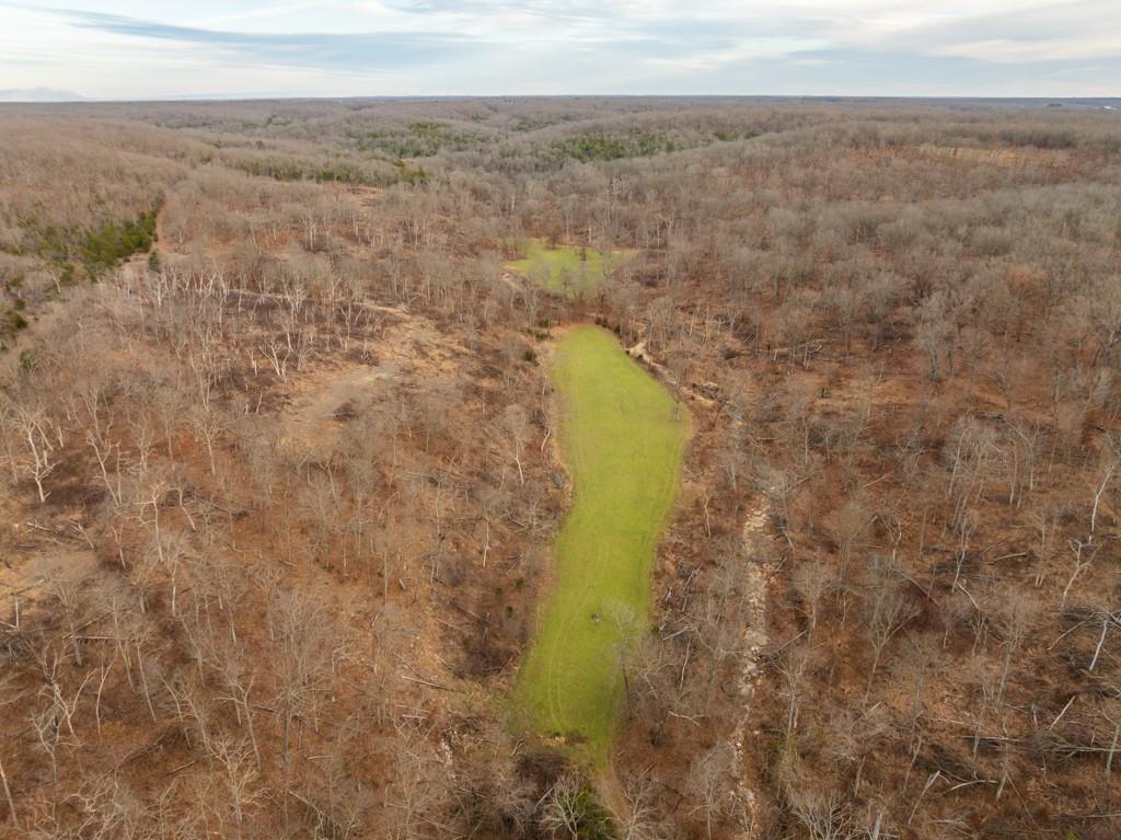 3270 Northeast 1205th Road Osceola, MO 64776 - Photo 27 of 99